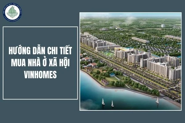 Hướng dẫn mua nhà Vinhomes A-Z: Kinh nghiệm, pháp lý và quy trình chi tiết cho người mua lần đầu.